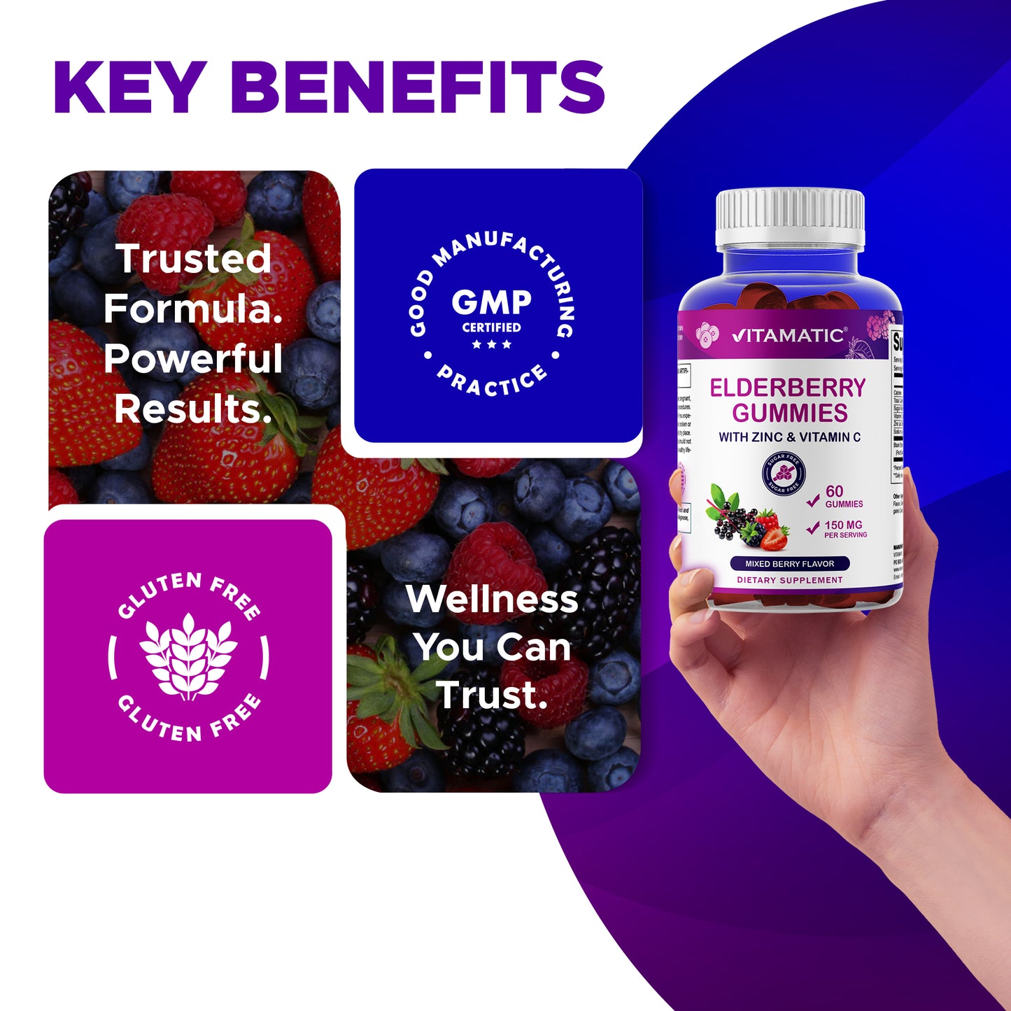 Vitamatic Elderberry Gummies with Vitamin C & Zinc – Mixed Berry Flavor– 60 Gummies