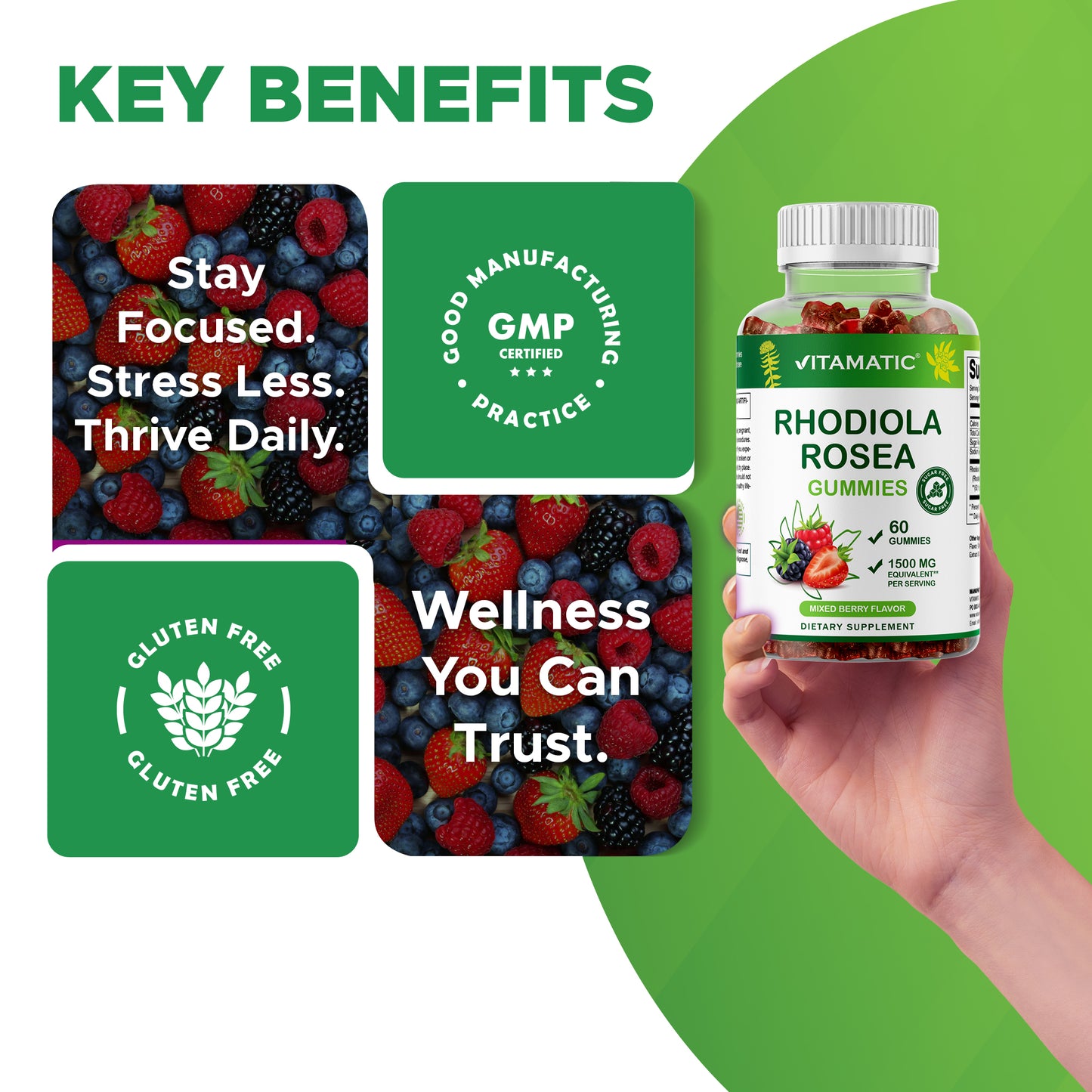 Sugar Free Rhodiola Rosea Gummies 1500 mg Equivalent Per Serving – 60 Gummies – Mixed Berry Flavor