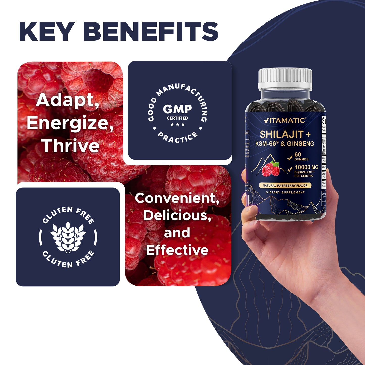 Shilajit with KSM-66® Ashwagandha & Ginseng 10,000 mg Equivalent Per Serving – Natural Raspberry Flavor – 60 Vegan Gummies