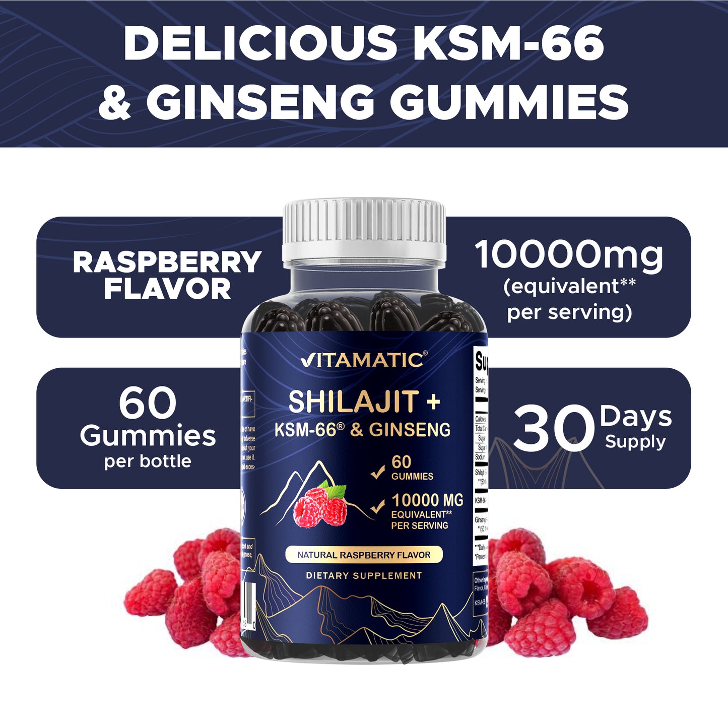 Shilajit with KSM-66® Ashwagandha & Ginseng 10,000 mg Equivalent Per Serving – Natural Raspberry Flavor – 60 Vegan Gummies
