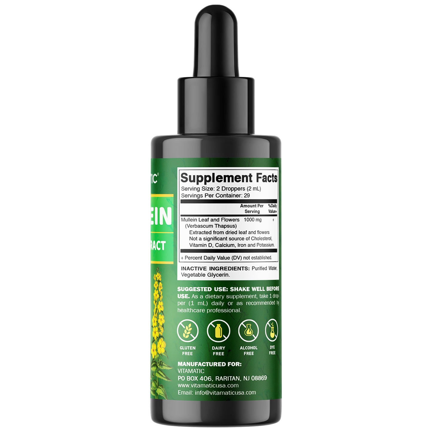 Liquid Mullein Leaf 1000mg per Serving 2 FL OZ
