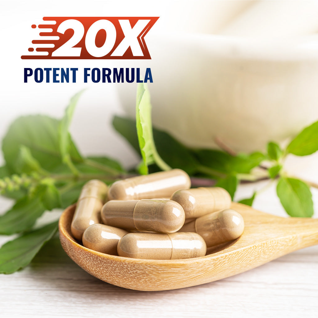 Valerian Root 5000 mg Equivalent per Capsule - 240 Capsules