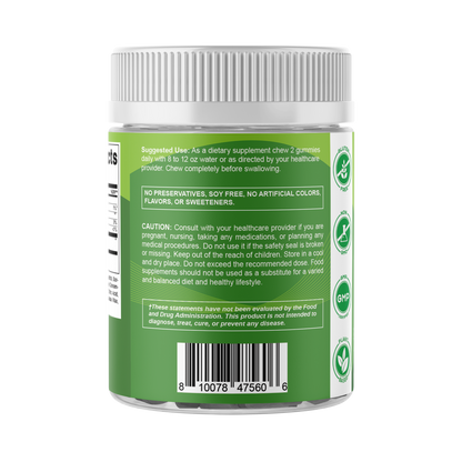 Vitamatic Moringa Gummies – Sugar-Free 50:1 Plant-Based Extract – Green Superfood – Pectin-Based, Vegan, Non-GMO – 240 Gummies