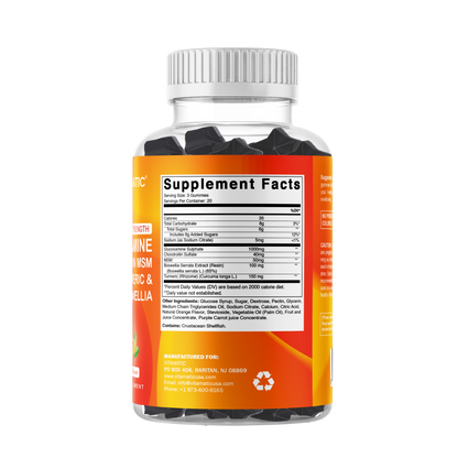 Glucosamine Chondroitin MSM Boswellia Turmeric 60 Gummies