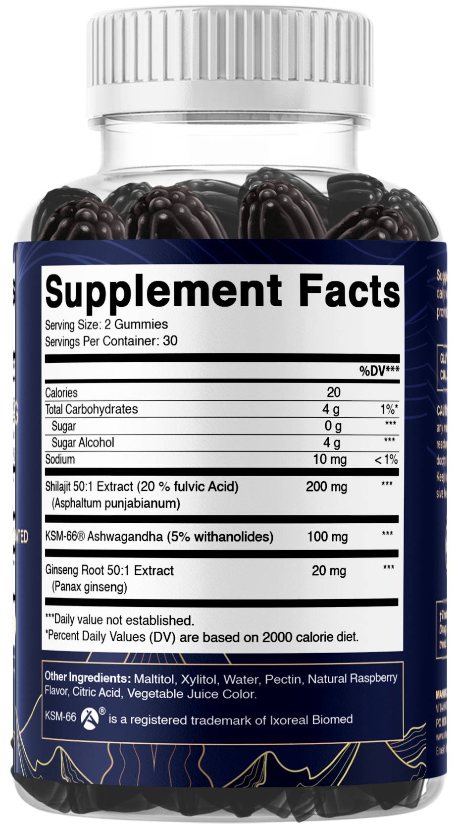 Vitamatic Shilajit + KSM-66® Ashwagandha & Ginseng, 60ct Gummies