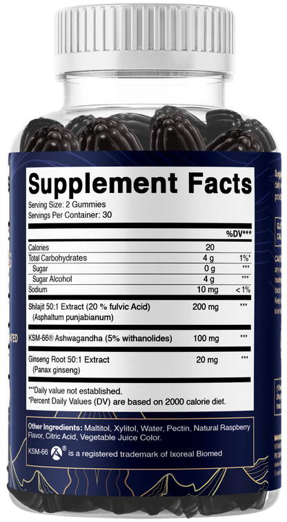 Vitamatic Shilajit + KSM-66® Ashwagandha & Ginseng, 60ct Gummies
