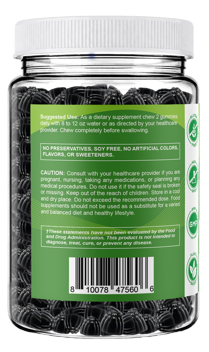Vitamatic Moringa 50:1 Extract Sugar-Free Gummies, 60 Count