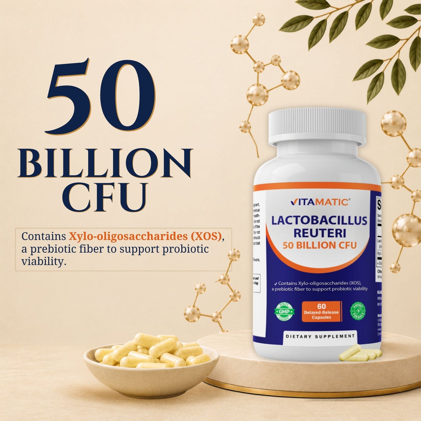 Vitamatic Lactobacillus Reuteri 50 Billion CFU with XOS Prebiotic, 60 Delayed Release Capsules