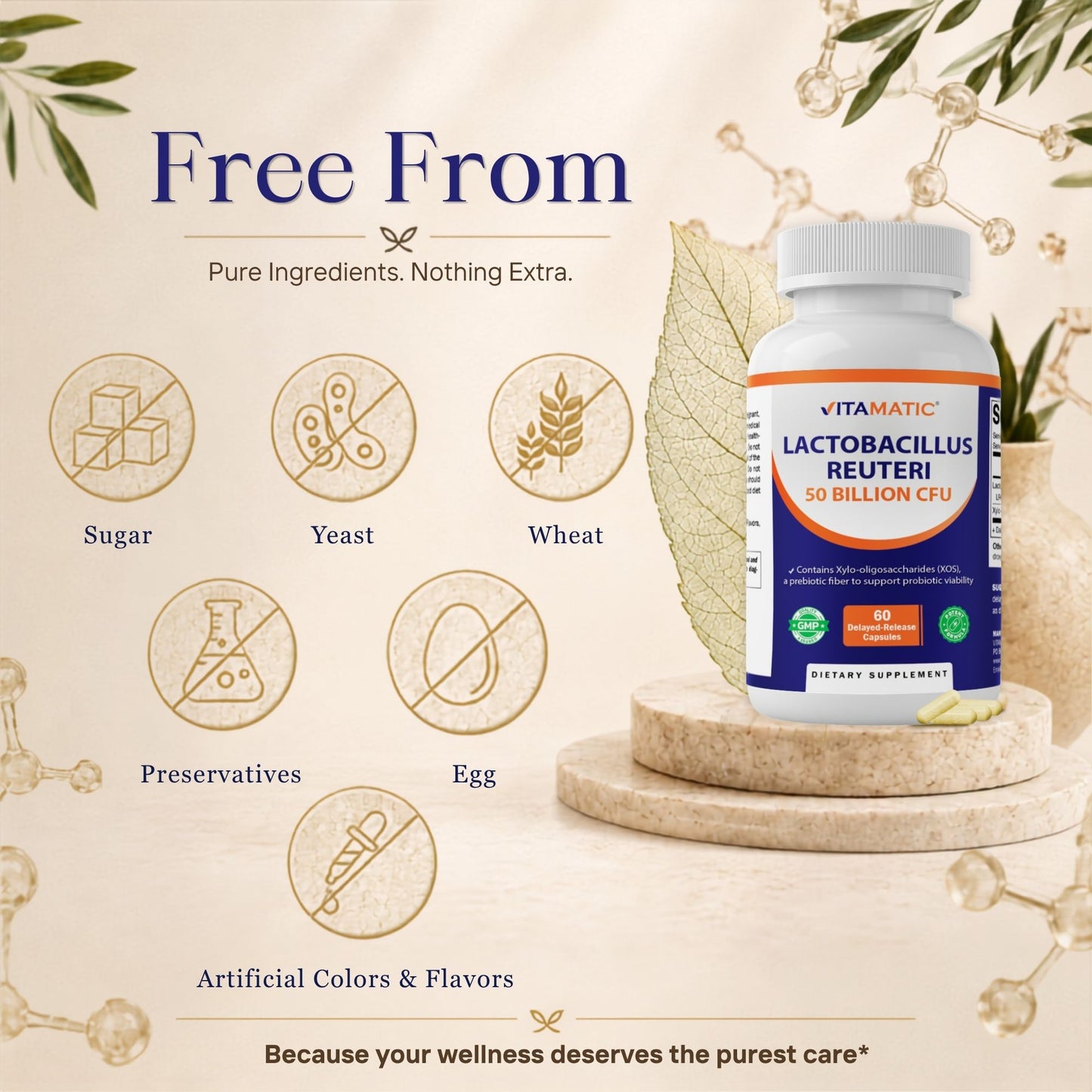 Vitamatic Lactobacillus Reuteri 50 Billion CFU with XOS Prebiotic, 60 Delayed Release Capsules