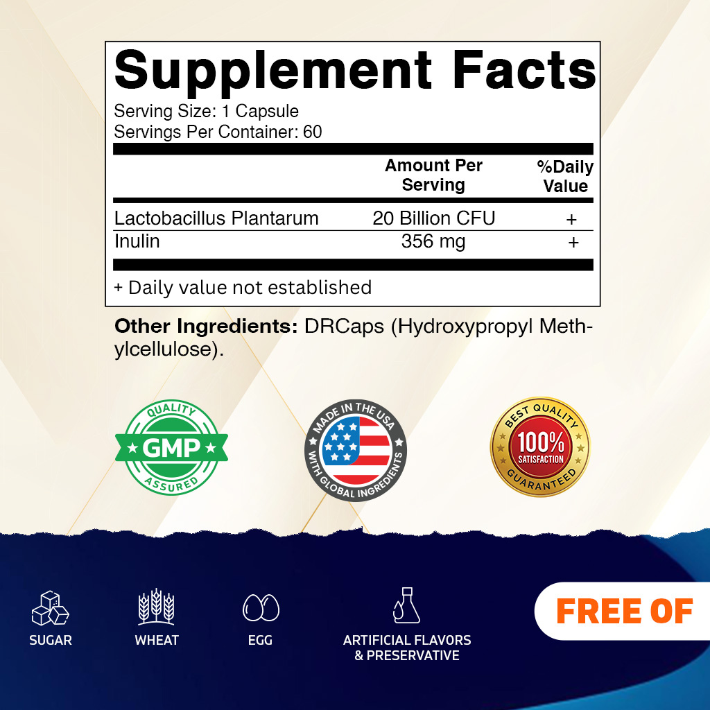 Lactobacillus Plantarum 20 Billion CFU, 60 DR Capsules