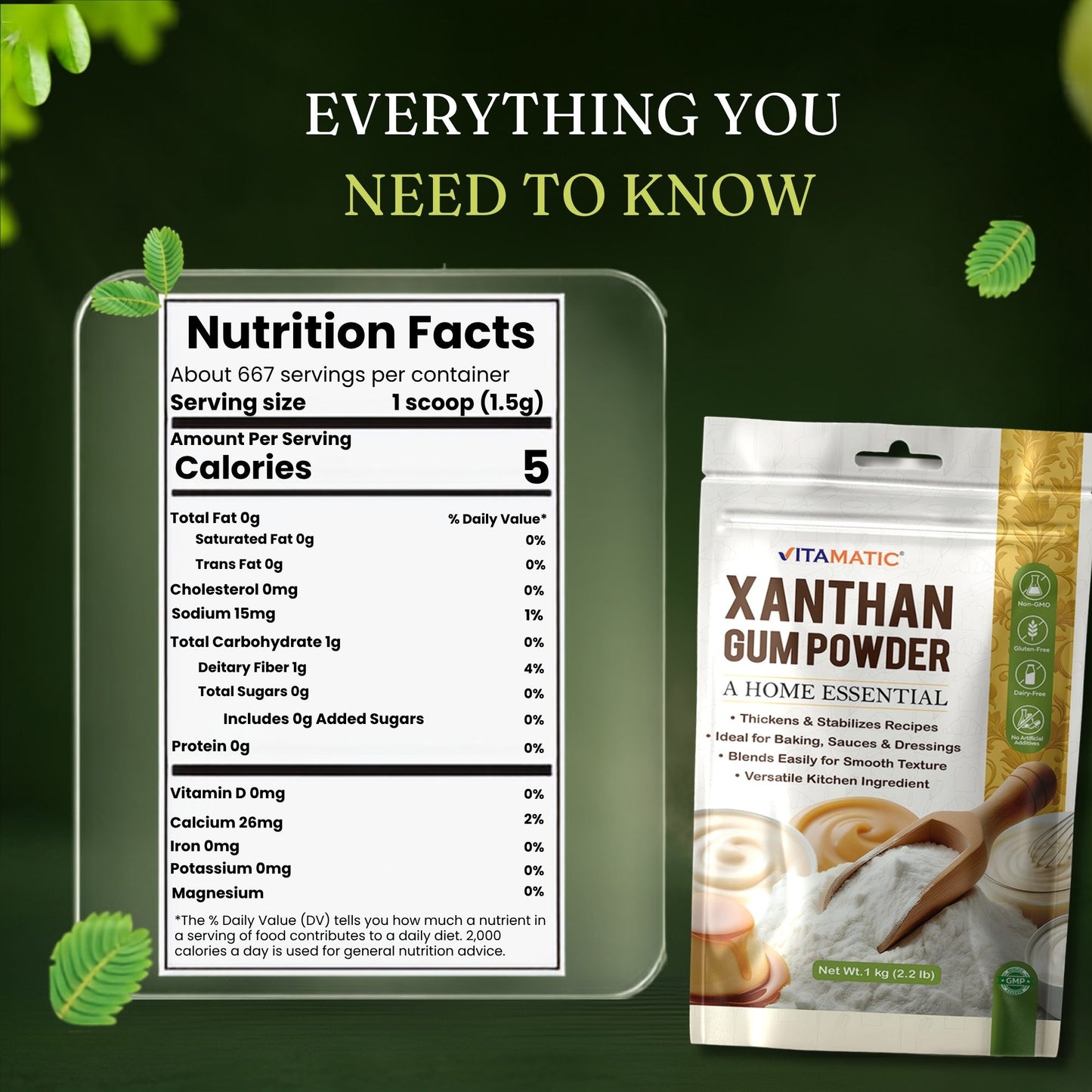 Vitamatic Xanthan Gum Powder 1 kg (2.2 lb)