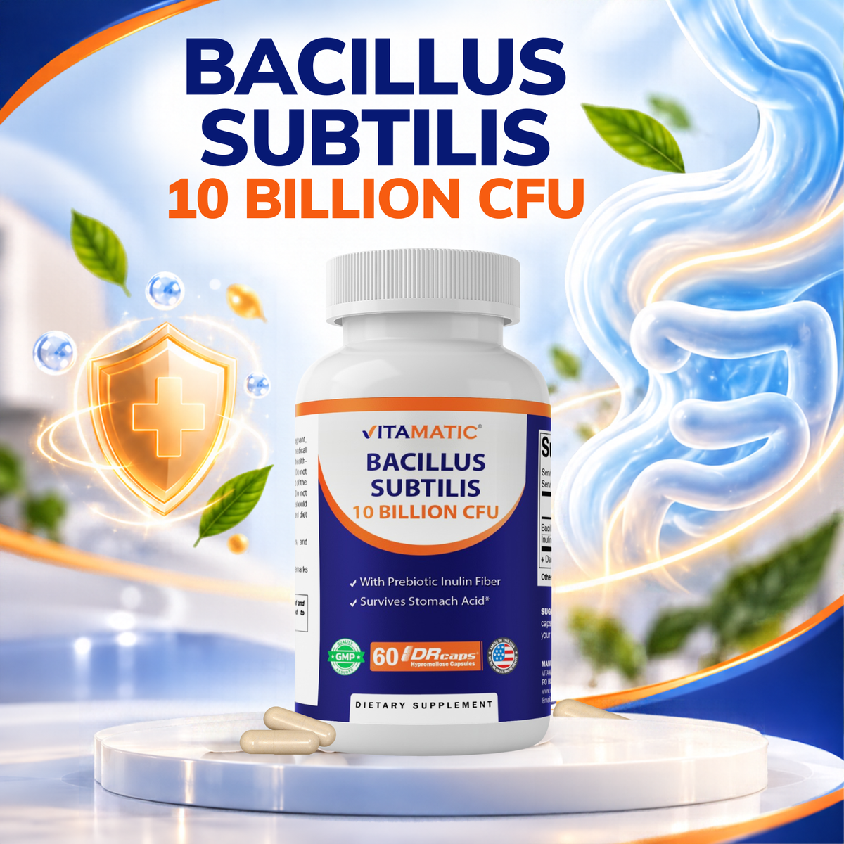 Bacillus Subtilis 10 Billion CFU, 60 DR Capsules