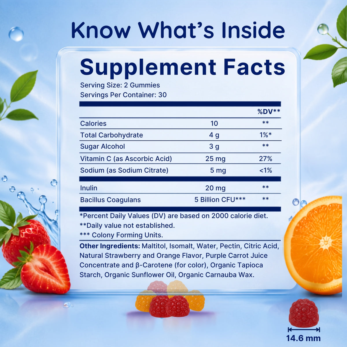 Vitamatic Sugar Free Probiotic 5 Billion CFU, 60 Gummies