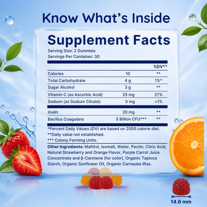 Vitamatic Sugar Free Probiotic 5 Billion CFU, 60 Gummies