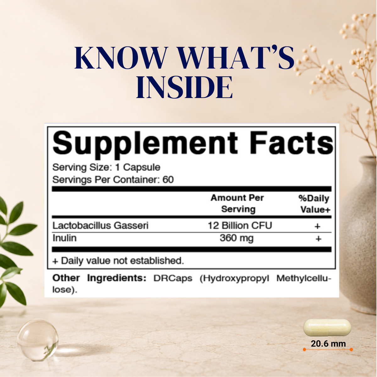 Lactobacillus Gasseri 12 Billion CFU, 60 DR Capsules