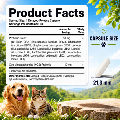 Vitamatic Pets Probiotic + Fiber for Dogs & Cats, 10 Billion CFU Multi-Strain Probiotic with XOS Prebiotic - 60 Delayed Release Capsules