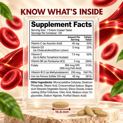 Vitamatic Slow Release Iron Complex, 120 Enteric Coated Tablets