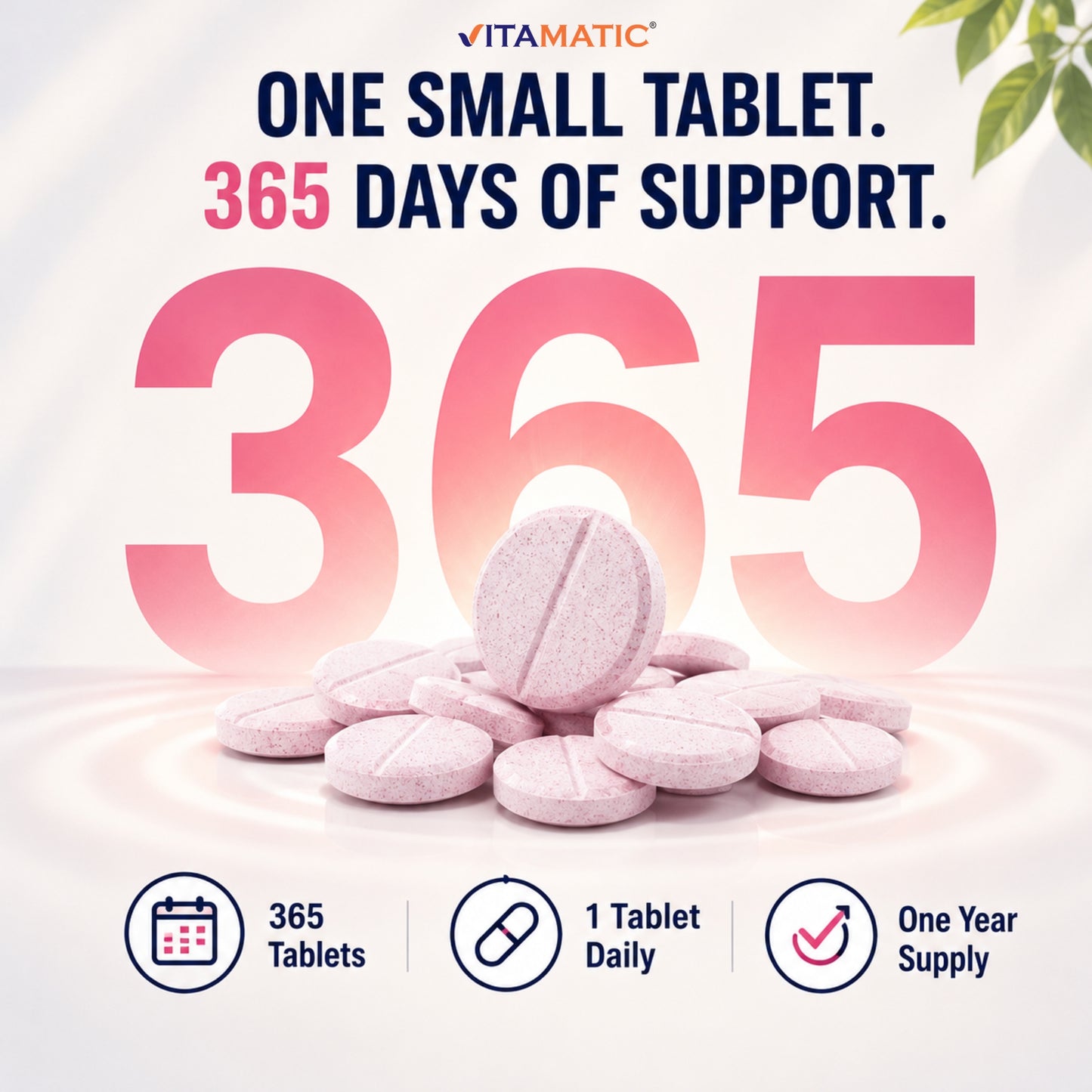 Vitamin B12 500 mcg Fast Dissolve 365 Tablets