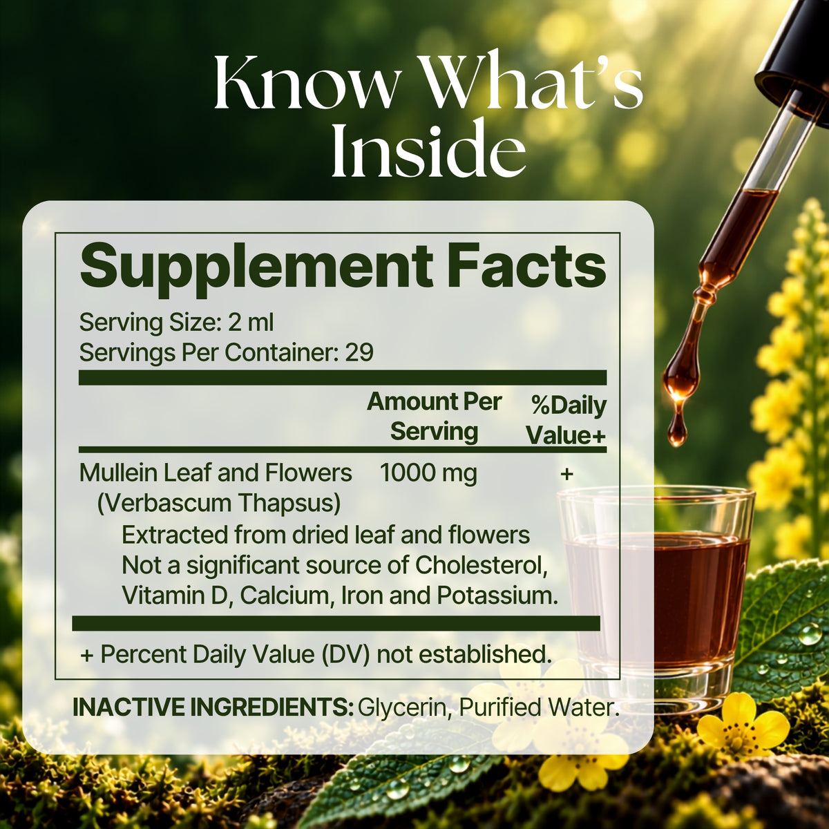 Vitamatic Liquid Mullein Leaf 1000mg Per Serving, 2 FL OZ