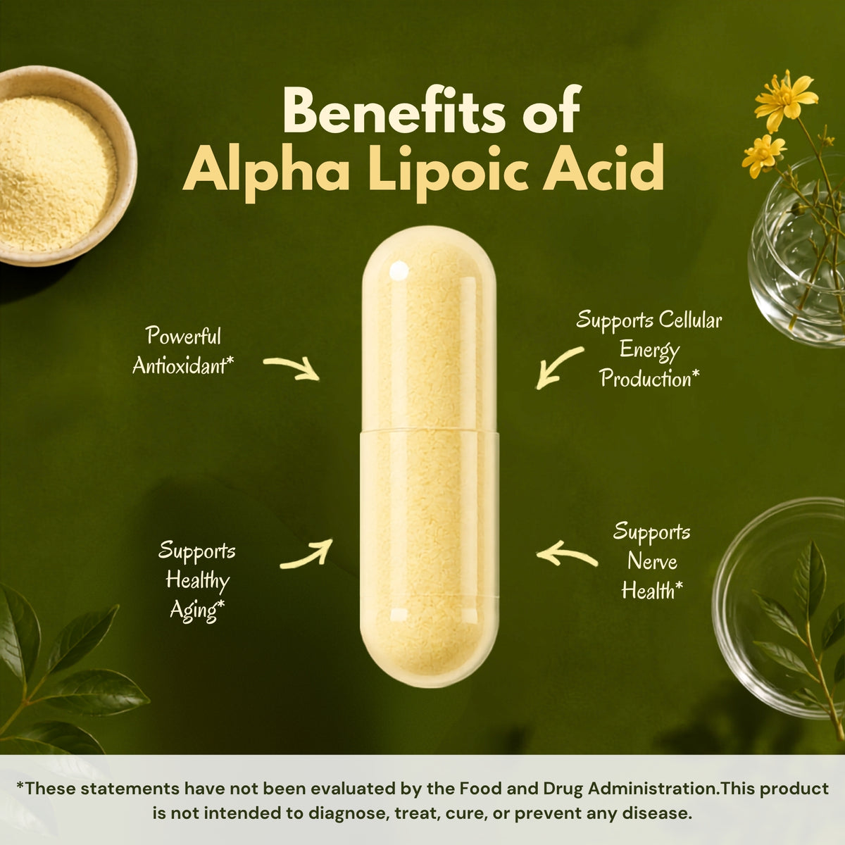 Alpha Lipoic Acid 600mg Per Serving, 240 Capsules