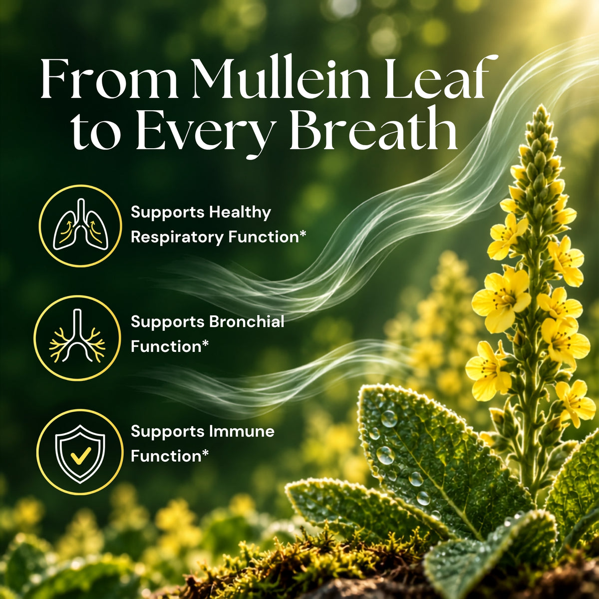 Vitamatic Liquid Mullein Leaf 1000mg Per Serving, 2 FL OZ