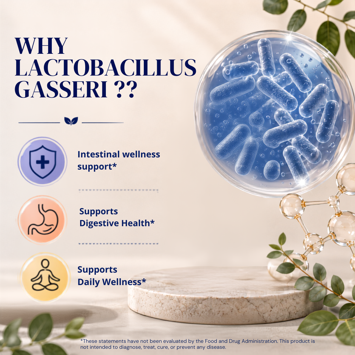 Lactobacillus Gasseri 12 Billion CFU, 60 DR Capsules