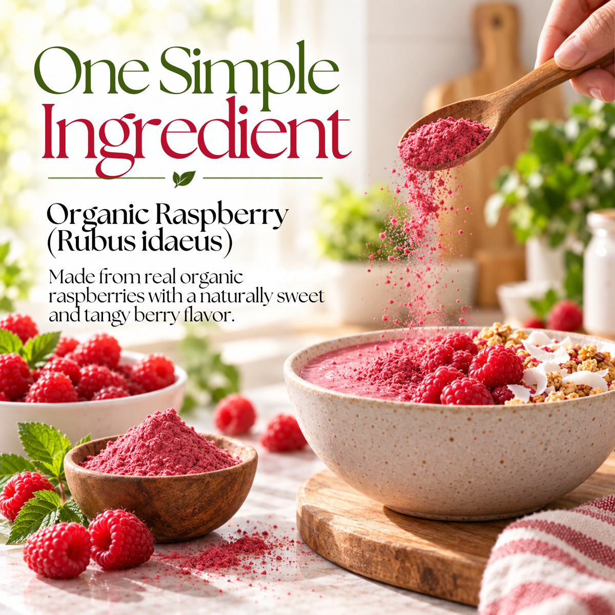 Vitamatic Organic Raspberry Powder