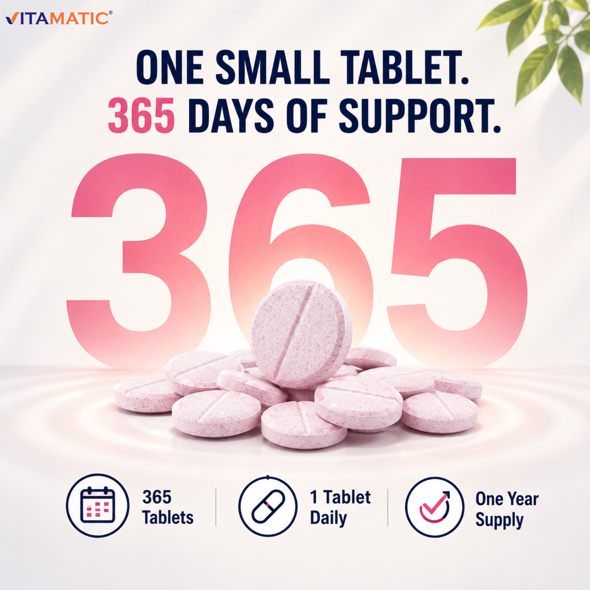Vitamatic Vitamin B12 1000 mcg Fast Dissolve, 365 Tablets