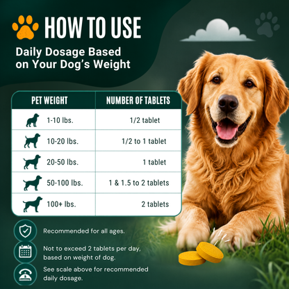 Turmeric+Collagen+Black Pepper for Dogs, 120 Tablets