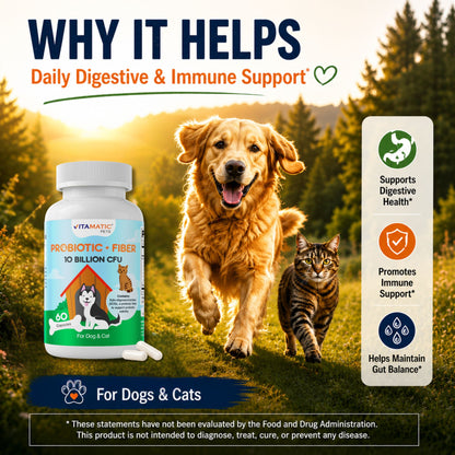 Vitamatic Pets Probiotic + Fiber for Dogs & Cats, 10 Billion CFU Multi-Strain Probiotic with XOS Prebiotic - 60 Delayed Release Capsules