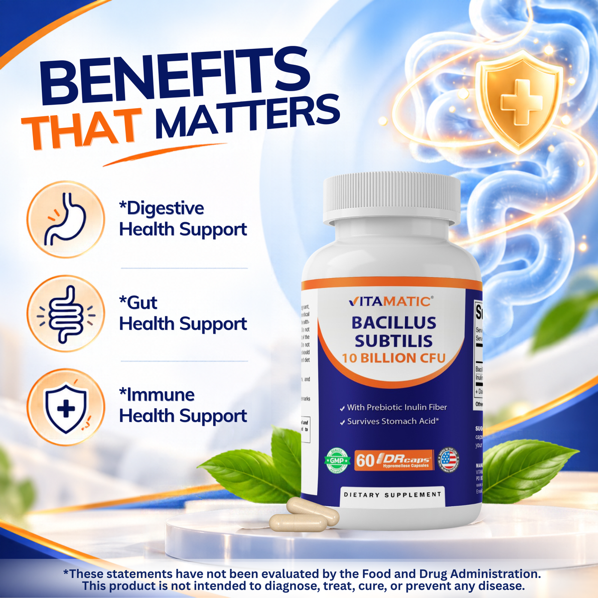 Bacillus Subtilis 10 Billion CFU, 60 DR Capsules