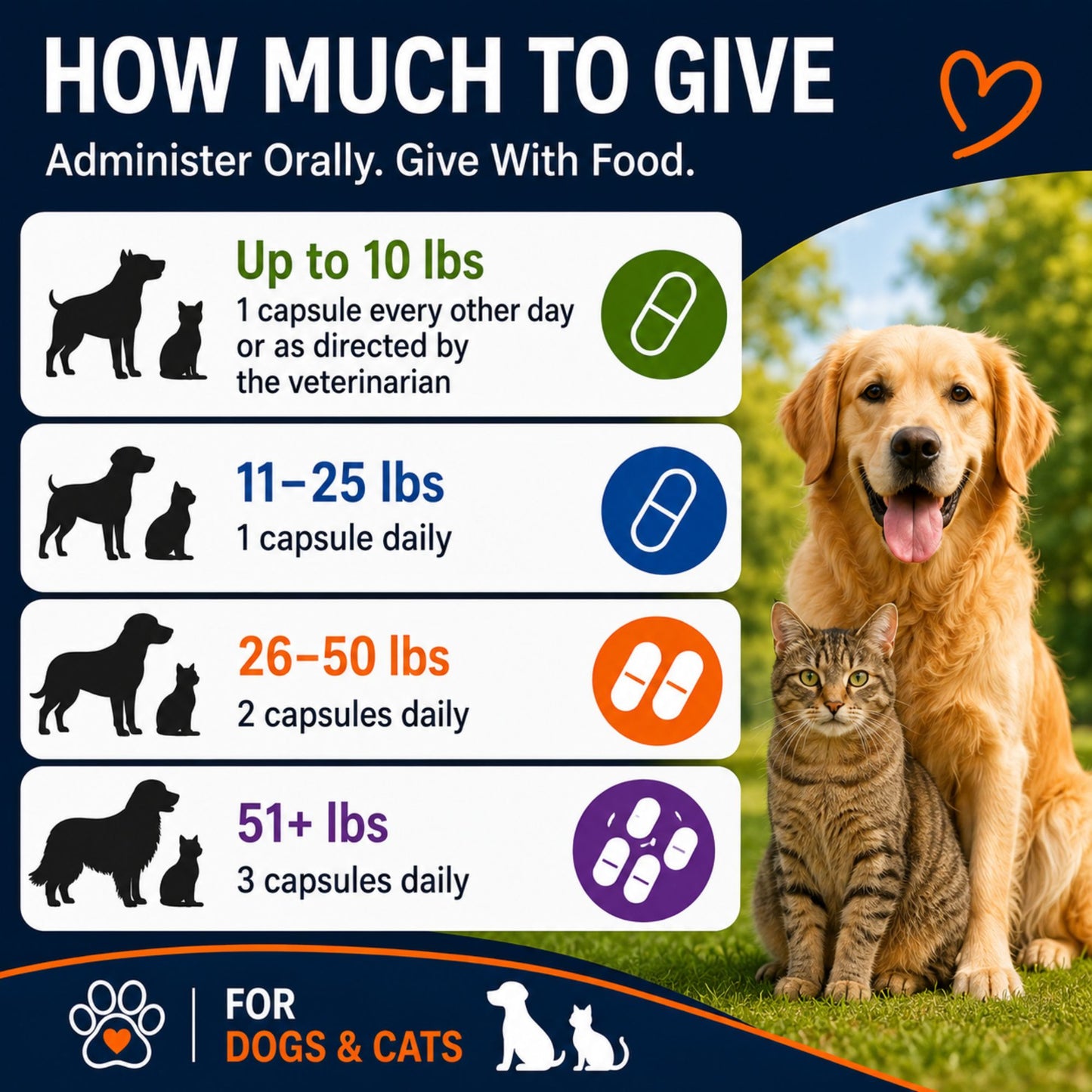 Vitamatic Pets Probiotic + Fiber for Dogs & Cats, 10 Billion CFU Multi-Strain Probiotic with XOS Prebiotic - 60 Delayed Release Capsules