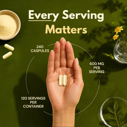 Alpha Lipoic Acid 600mg Per Serving, 240 Capsules