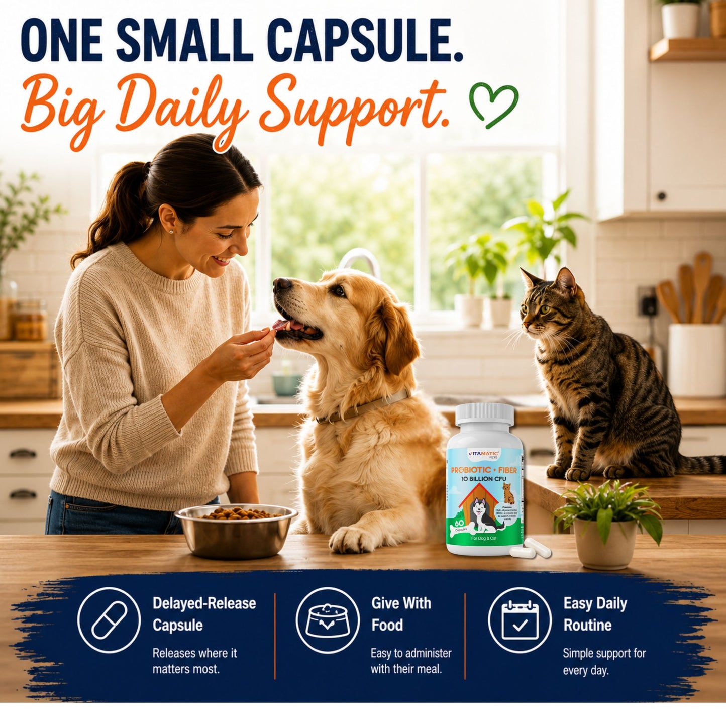 Vitamatic Pets Probiotic + Fiber for Dogs & Cats, 10 Billion CFU Multi-Strain Probiotic with XOS Prebiotic - 60 Delayed Release Capsules