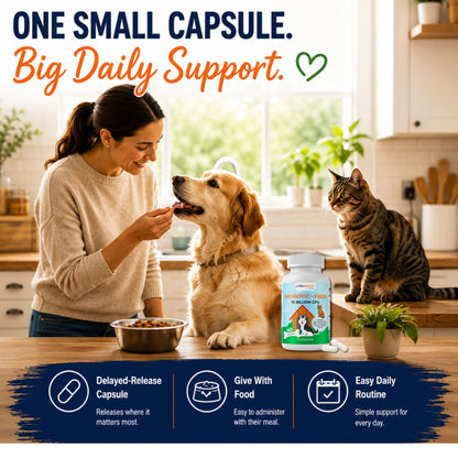 Vitamatic Pets Probiotic + Fiber for Dogs & Cats, 10 Billion CFU Multi-Strain Probiotic with XOS Prebiotic - 60 Delayed Release Capsules