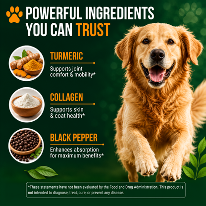 Turmeric+Collagen+Black Pepper for Dogs, 120 Tablets