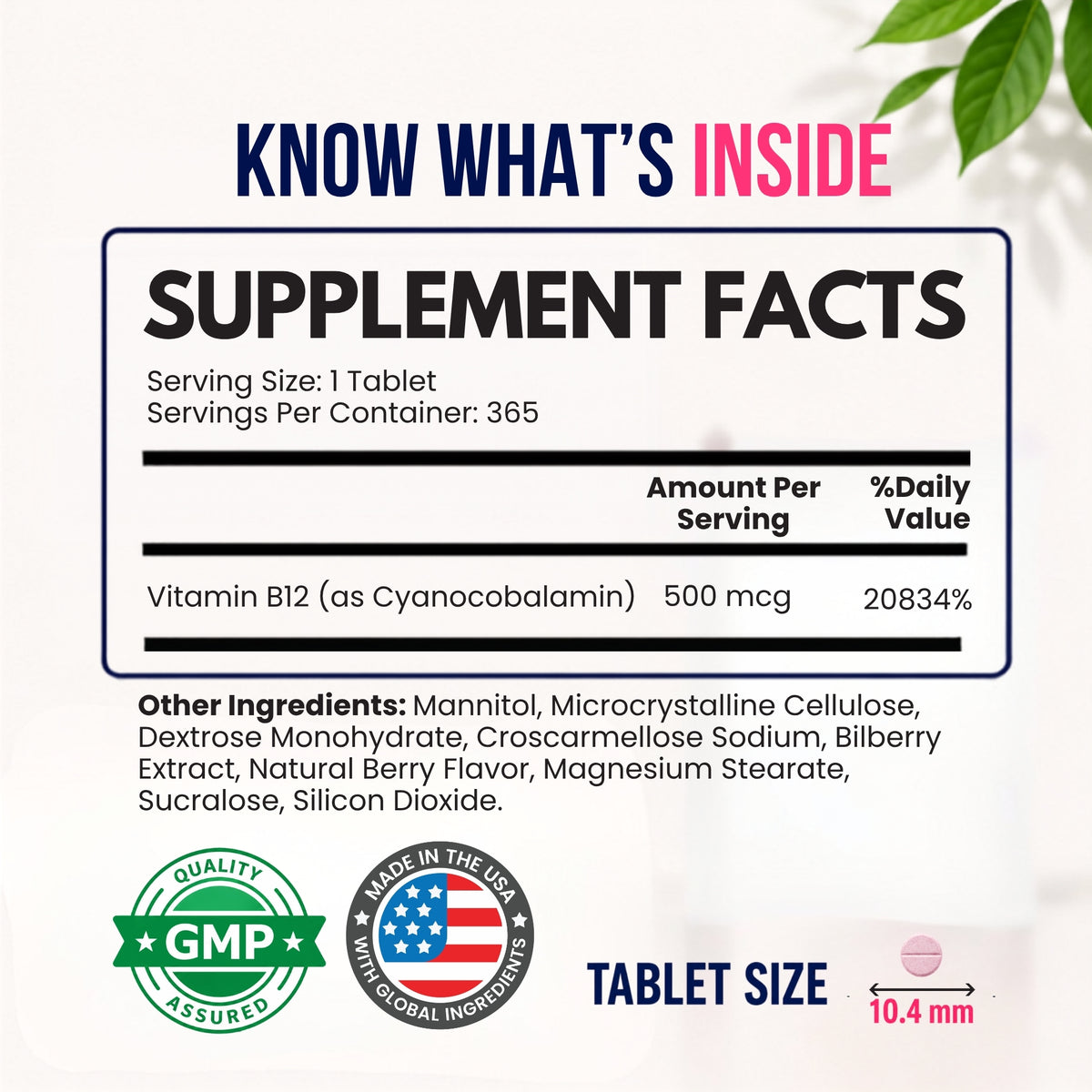 Vitamin B12 500 mcg Fast Dissolve 365 Tablets