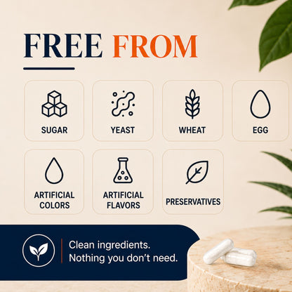 Vitamatic Lactobacillus Casei 10 Billion CFU with XOS Prebiotic, 60 Delayed Release Capsules