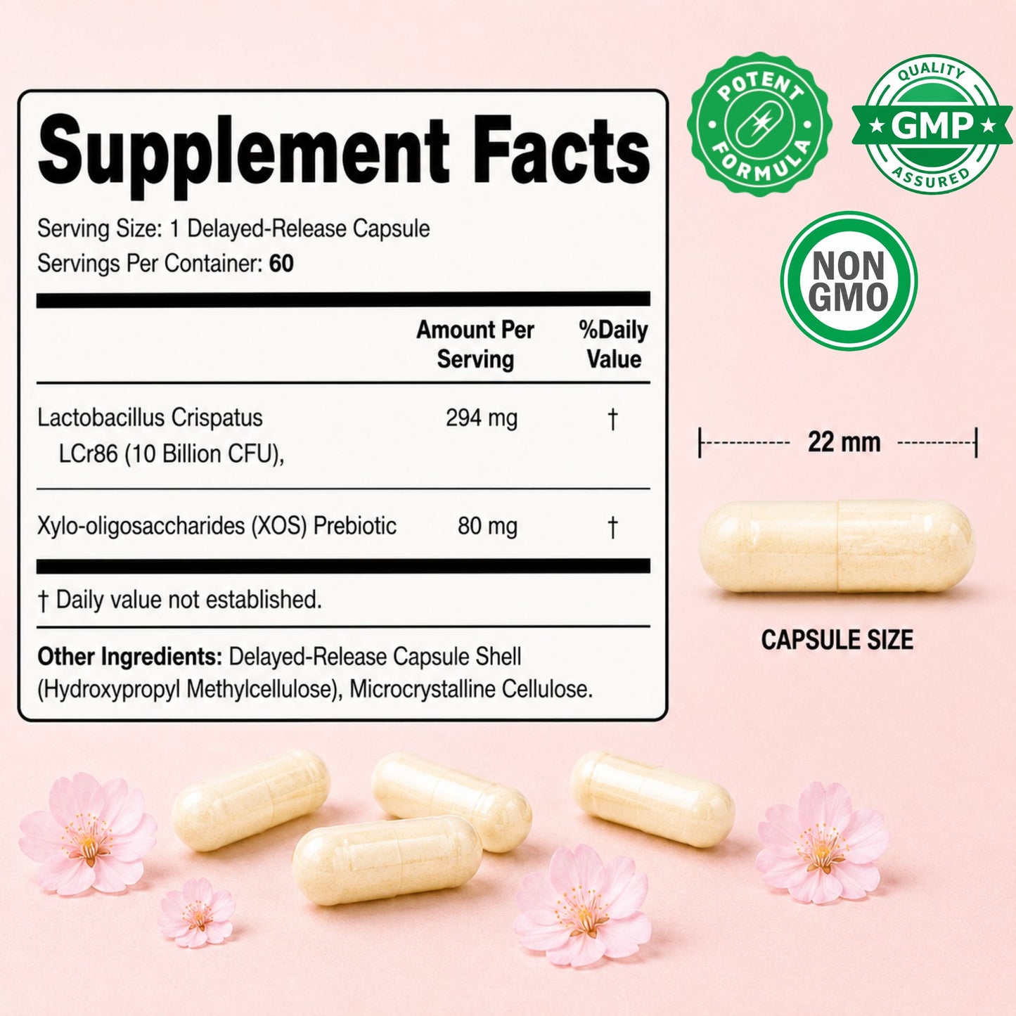 Vitamatic Lactobacillus Crispatus 10 Billion CFU with XOS Prebiotic - 60 Delayed Release Capsules