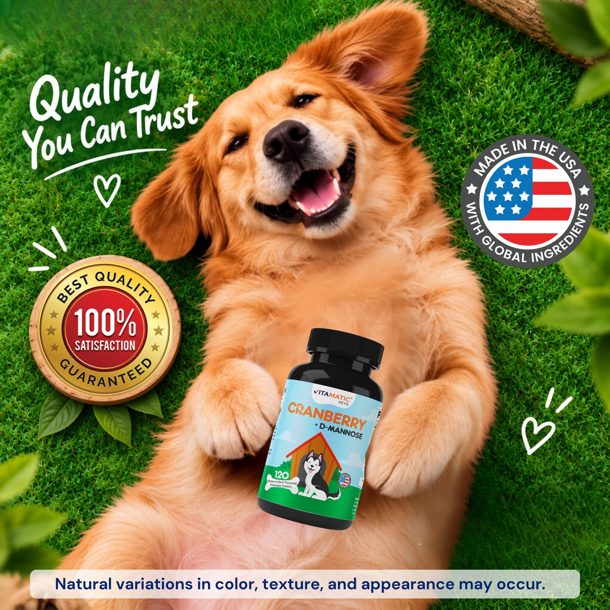 Cranberry for Dogs, 120 Chewable Tablets
