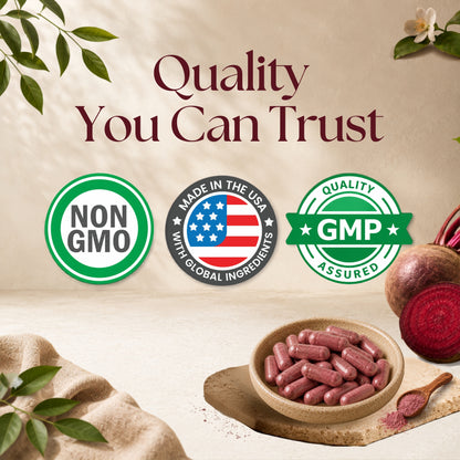 Vitamatic Beet Root 20:1 Extract supplement quality standards – Non-GMO and GMP Assured