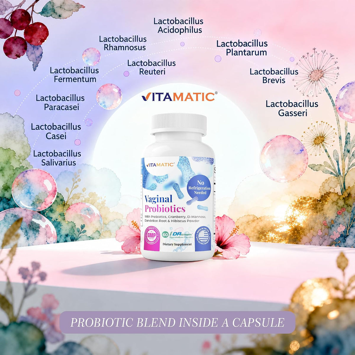 Vaginal Probiotics for Women
