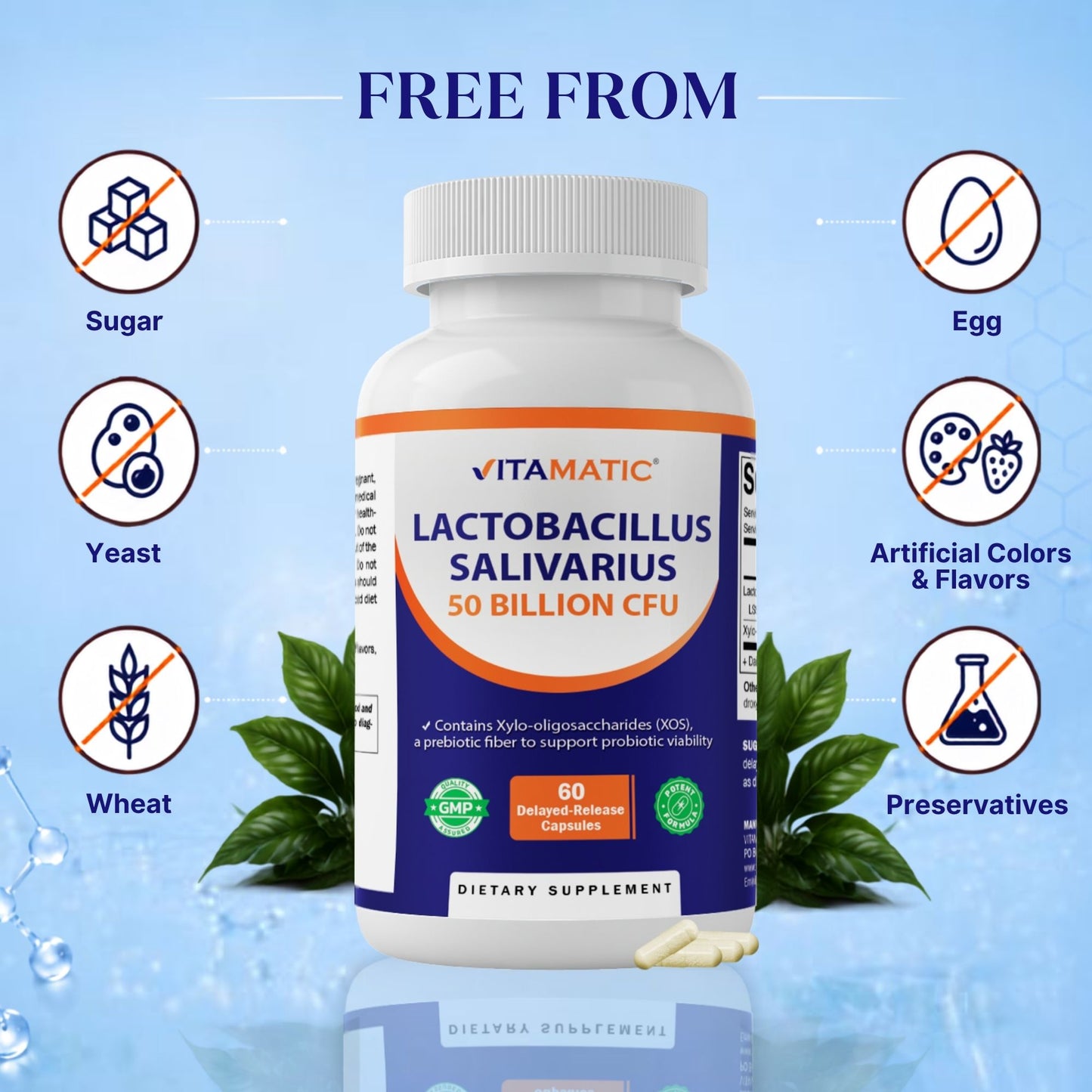 Vitamatic Lactobacillus Salivarius 50 Billion CFU with XOS Prebiotic, 60 Delayed Release Capsules