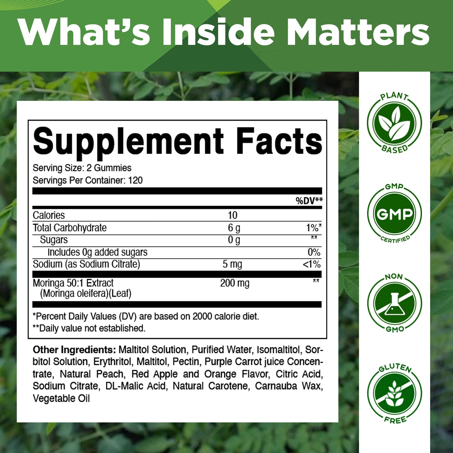 Vitamatic Moringa Gummies – Sugar-Free 50:1 Plant-Based Extract – Green Superfood – Pectin-Based, Vegan, Non-GMO – 240 Gummies