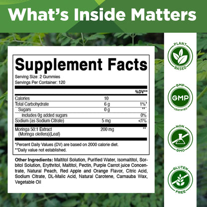 Vitamatic Moringa Gummies – Sugar-Free 50:1 Plant-Based Extract – Green Superfood – Pectin-Based, Vegan, Non-GMO – 240 Gummies