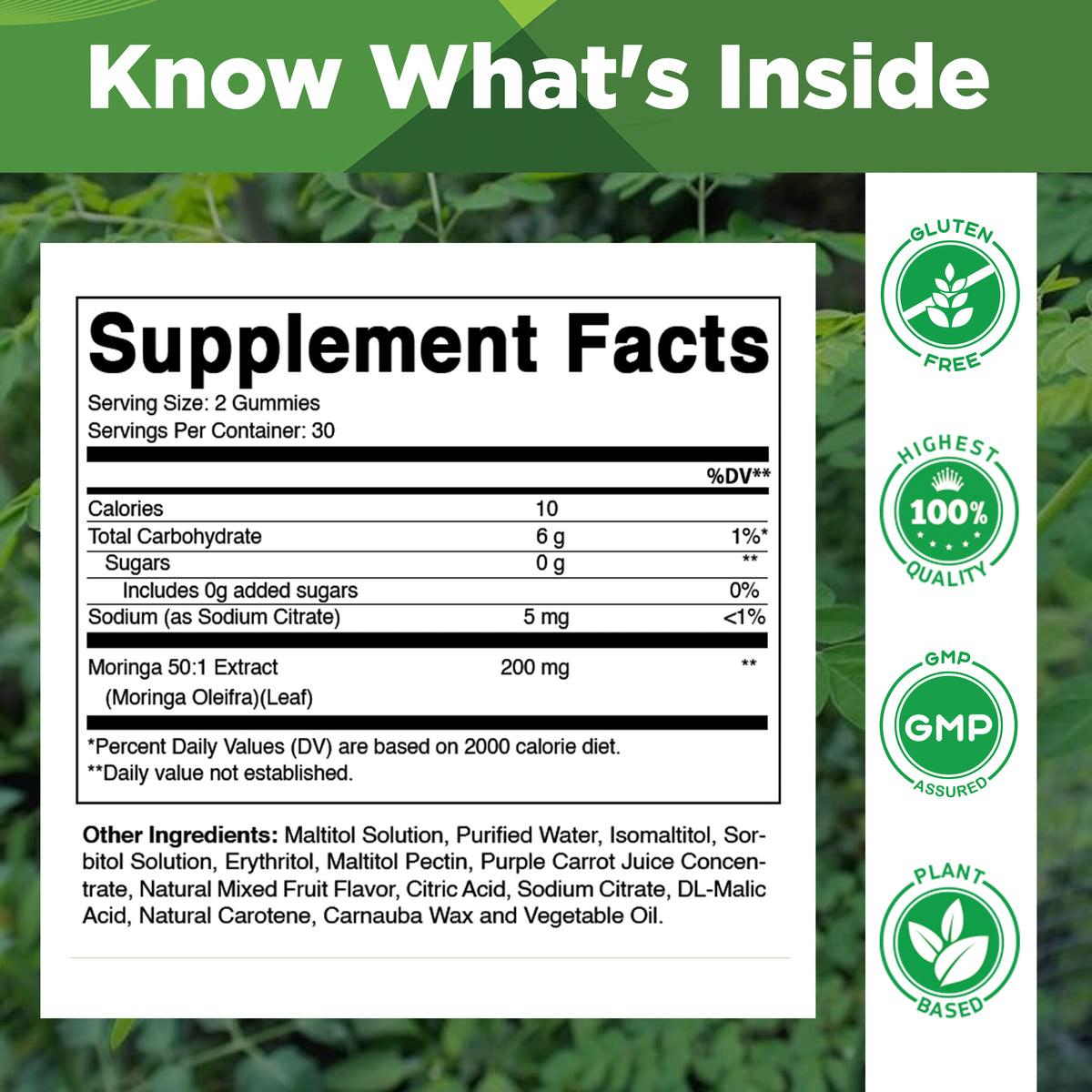 Vitamatic Sugar-Free Moringa 50:1 Extract, 60 Gummies