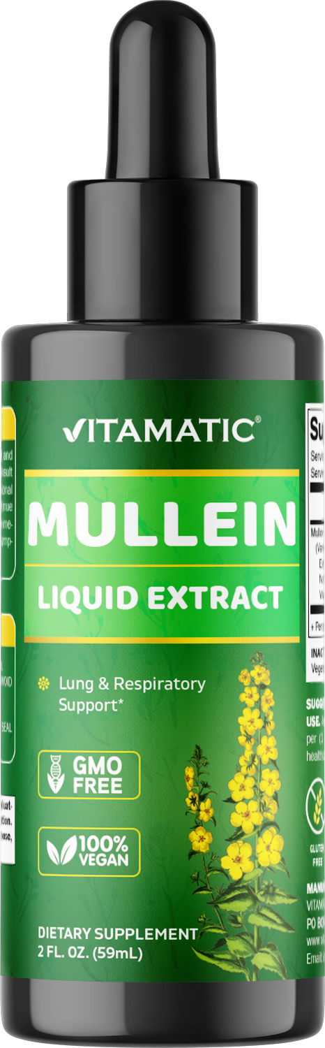 Liquid Mullein Leaf 1000mg per Serving 2 FL OZ
