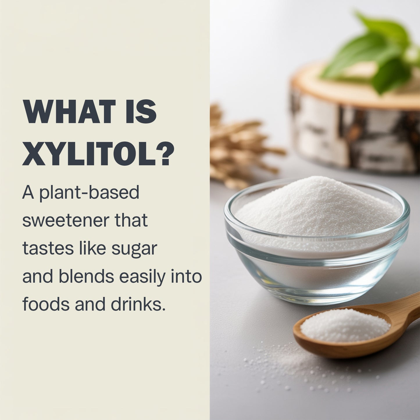Xylitol Pure Powder 1 KG (2.2 lb) – 100% Pure Birch Derived Sweetener