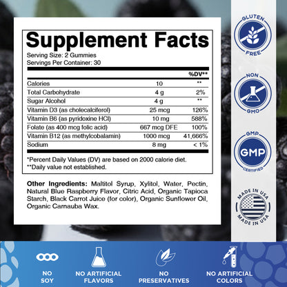 Vitamatic Vitamin D3 + B12 Gummies Made with Folate & Vitamin B6 - Natural Blue Raspberry Flavor – 60 Gummies