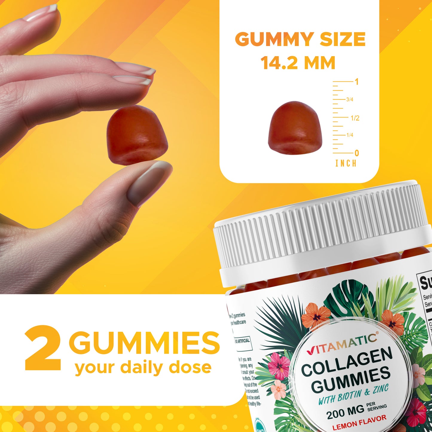 Hydrolyzed Collagen Gummies with Vitamin C, Zinc and Biotin, 200 mg per serving - 240 Gummies